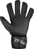 Reusch Attrakt Resist 5470615 7700 black back